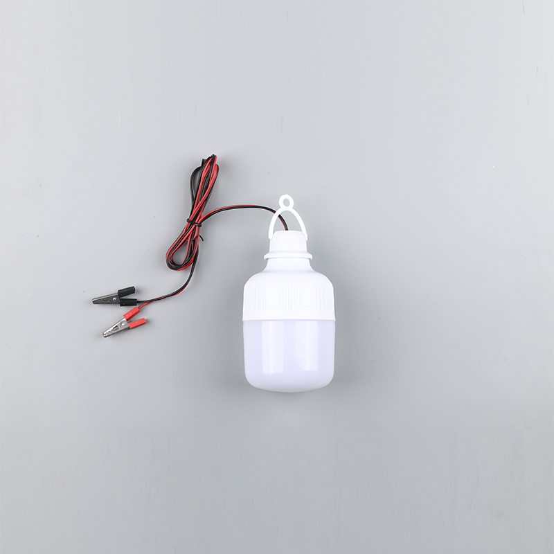 Mentol dipimpin-dc12v 24v
